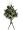 圖片 1